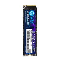 EVM NVMe M.2 1TB PCIe SSD