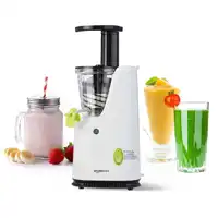 AmazonBasics Slow Juicer
