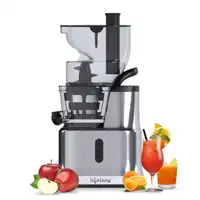 Lifelong LLSJ02 Cold Press whole Slow Juicer